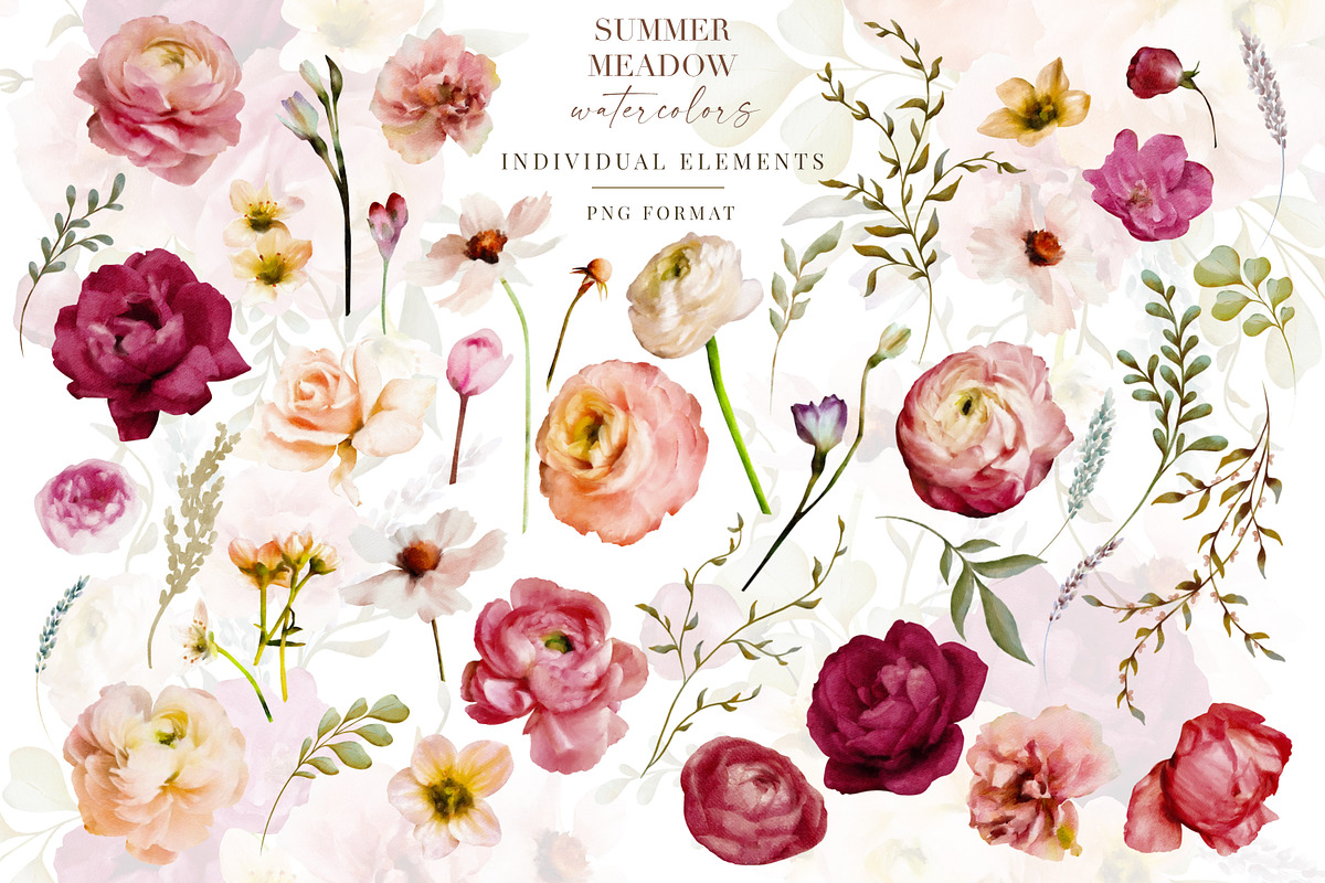 Summer Meadow Watercolor Collection, a Decorative Illustration by ...