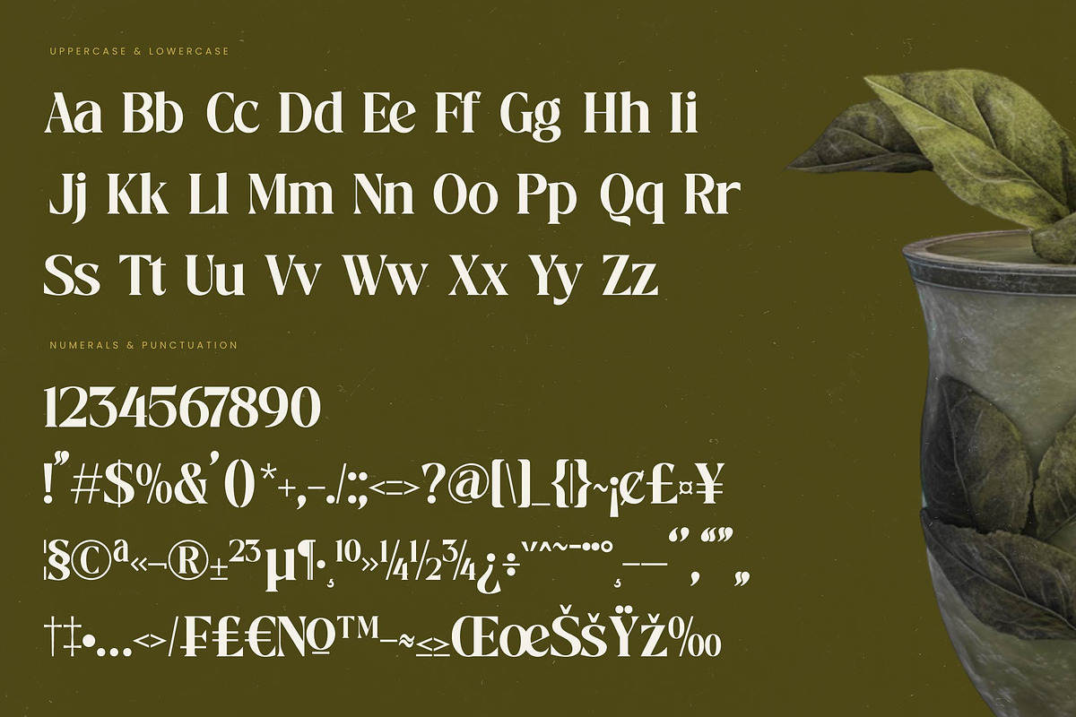 Mistical Spring - Modern Serif, a Serif Font by timelesstype.co (Photo 18 of 20)