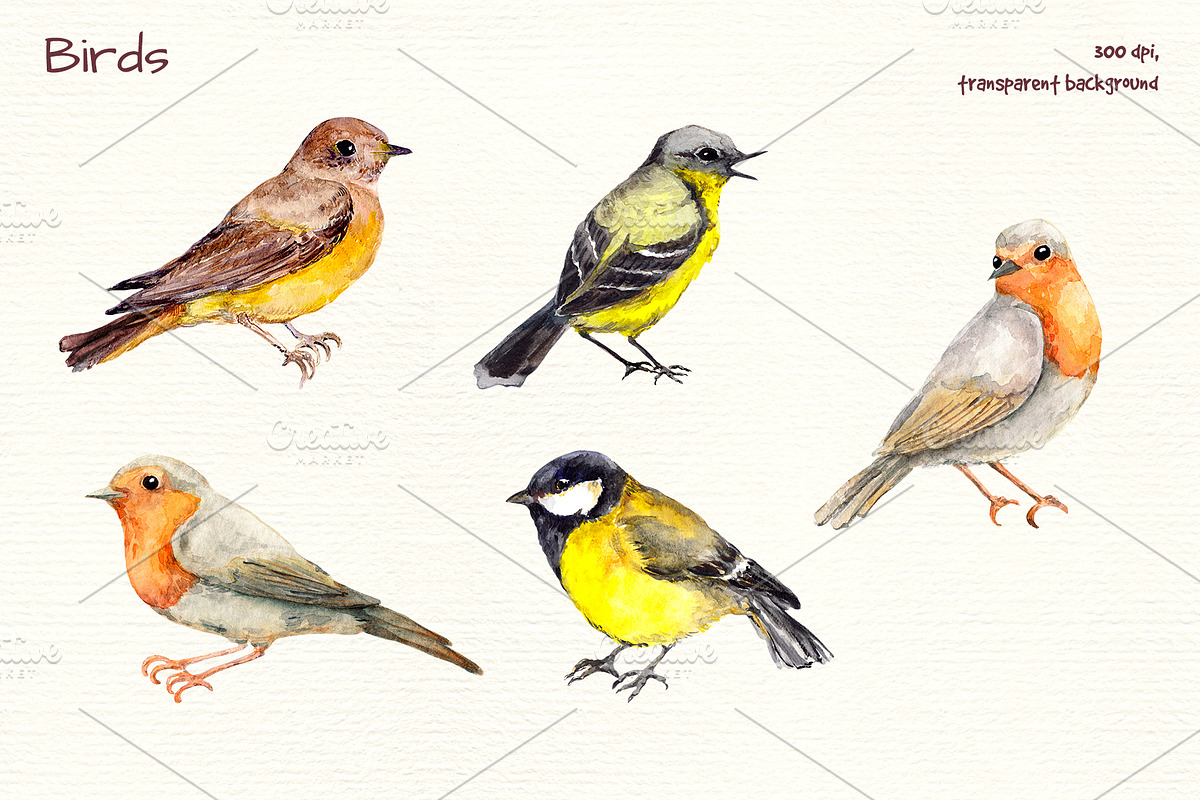 Birds watercolor clipart, an Illustration by Where summer is (Photo 3 of 4)