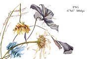Dry Flowers Watercolor Clipart, a Decorative Illustration by NKTKNS (Thumbnail 5 of 6)