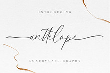 Anttelope Luxury Calligraphy