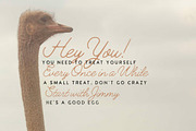 Jimmy Font Duo (5 Fonts) + Extras!, a Script Font by Tom Chalky (Thumbnail 7 of 7)