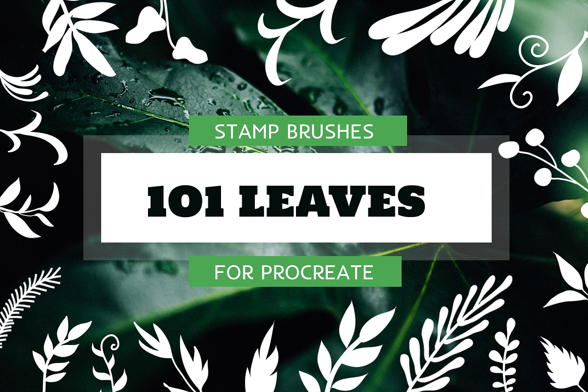101 Procreate Leaves Stamp Brushes, a Brush Add-On by Masherdraws (Photo 1 of 8)