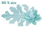 Wedding Watercolor Succulent Set, a Decorative Illustration by WBS Design (Thumbnail 6 of 6)