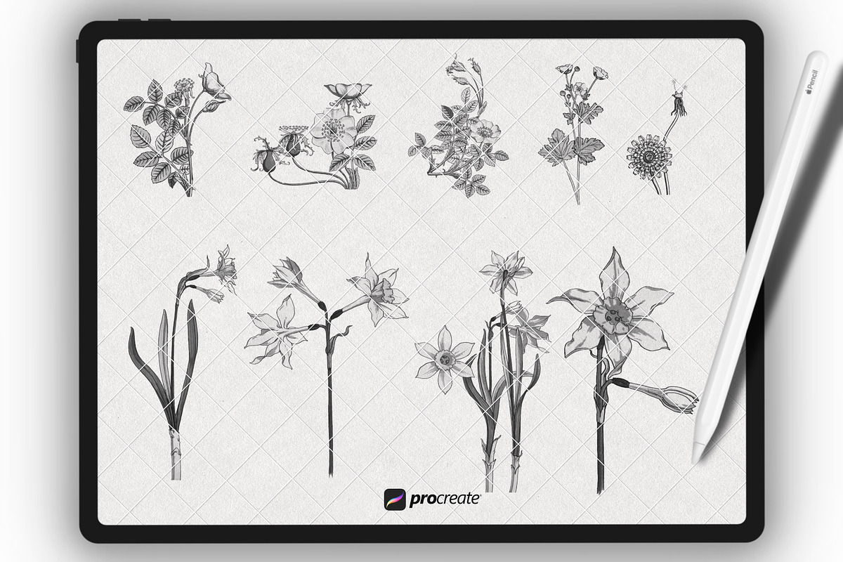 Procreate Floral Brushset Botanice, a Brush Add-On by Procreate Market (Photo 3 of 7)