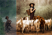 Lightroom Presets (Mobile + Desktop), a Layer Style Add-On by yosscinematic (Thumbnail 10 of 18)