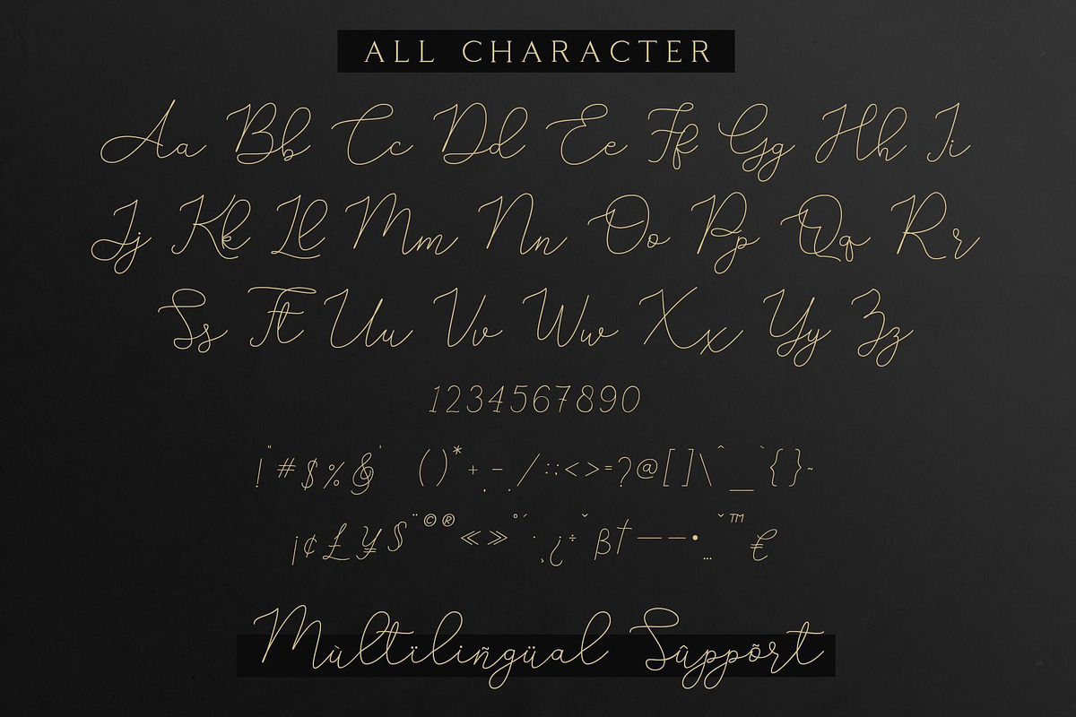 Adelya - Elegant Signature Font, a Script Font by Craft Supply Co. (Photo 9 of 12)