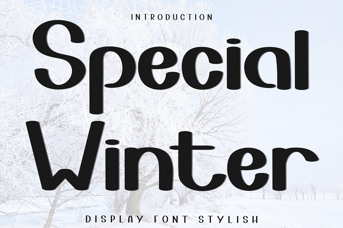 Special Winter, a Script Font by FreshTypeINK (Photo 1 of 8)