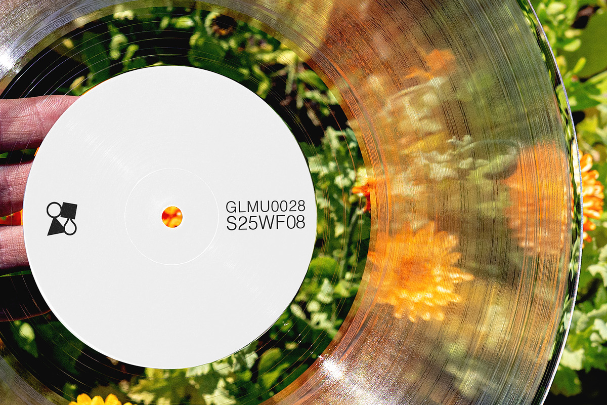 Wax Flowers Mockup Collection, a Packaging Mockup by Glue Lab (Photo 3 of 5)