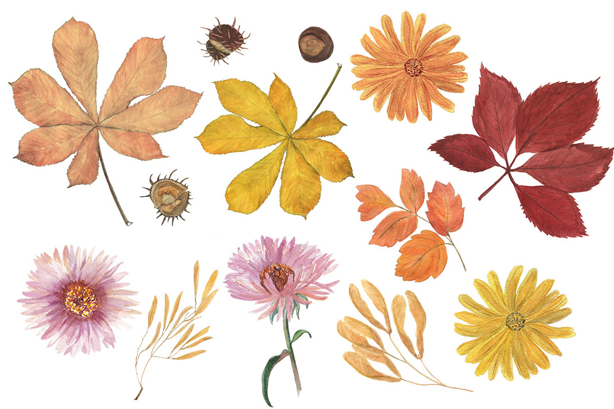 Autumn watercolor collection, an Illustration by ramika (Photo 5 of 5)
