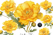 Watercolor Yellow Flower Clipart, an Object Illustration by Design Scotch (Thumbnail 1 of 7)