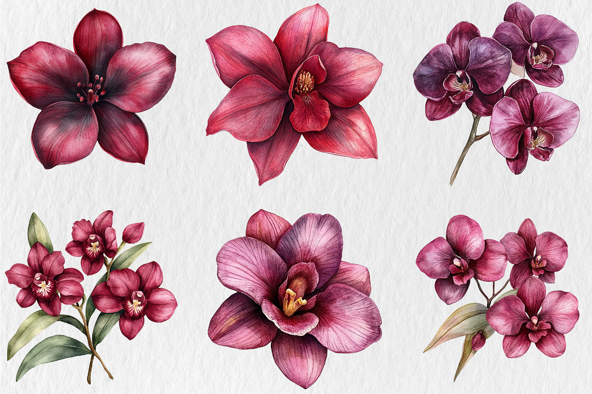 Watercolor Burgundy Orchids Clipart, a Seasonal Illustration by Rose Art (Photo 3 of 6)