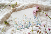 New! Wild Flowers Edition, a Seasonal Illustration by Isabelle Salem (Thumbnail 113 of 155)