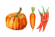 Watercolor organic food, a Food Illustration by Katya Zlobina (Thumbnail 6 of 9)