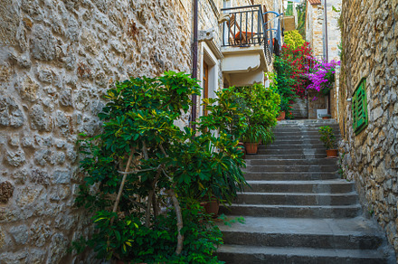 Beautiful narrow street with flowers, an Architecture Photo by Alpine Dreams