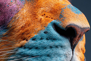 Colorful lion portrait with artistic patterns, an Animal Photo by AlyaAnd