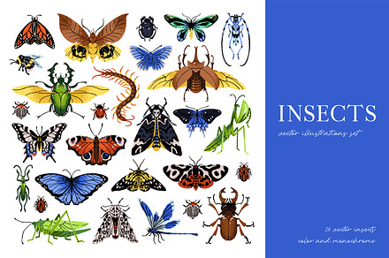 Insects species: bug, buttefly set, an Animal Illustration by PaperTrident