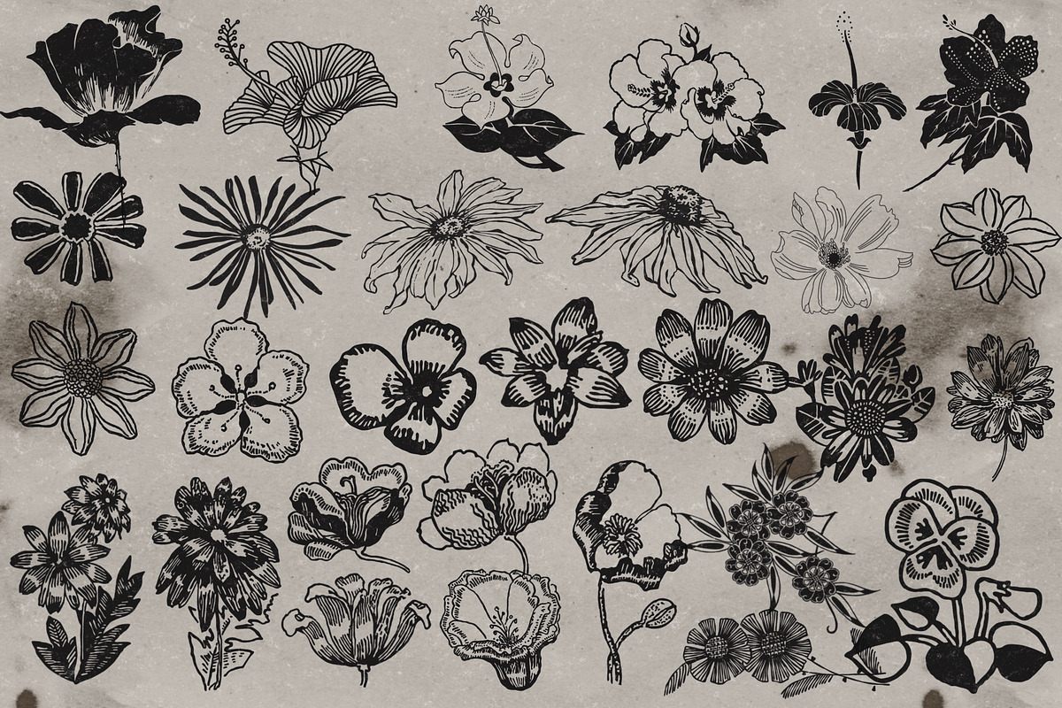 Retro style flower stamps Procreate, a Brush Add-On by TheWhiteCatLab (Photo 2 of 5)