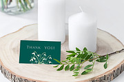 Snowdrops botanical illustration, an Illustration by Olga Koelsch (Thumbnail 7 of 7)