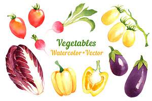 Vector watercolor vegetables, a Food Illustration by Evgeniia Zagreeva