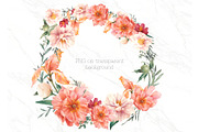 Peony chic, an Illustration by Eisfrei (Thumbnail 4 of 6)