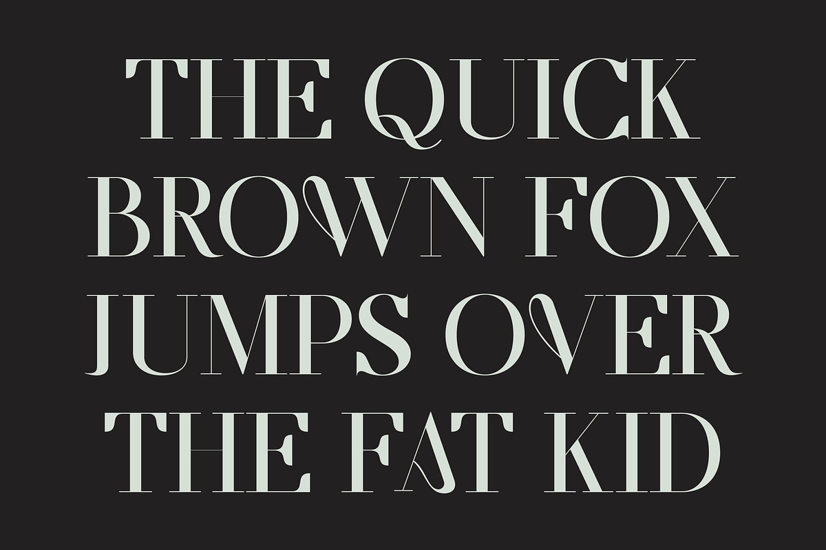 CS Salsa – Elegant Serif Font, a Serif Font by Craft Supply Co. (Photo 4 of 8)
