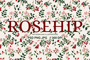 Rosehip Elegant Romantic Pattern, a Pattern Graphic by Mariia Kovalchuk (Thumbnail 1 of 13)
