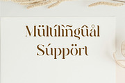 Quainy Modern Serif Font, a Serif Font by Dylla_studio (Thumbnail 11 of 12)