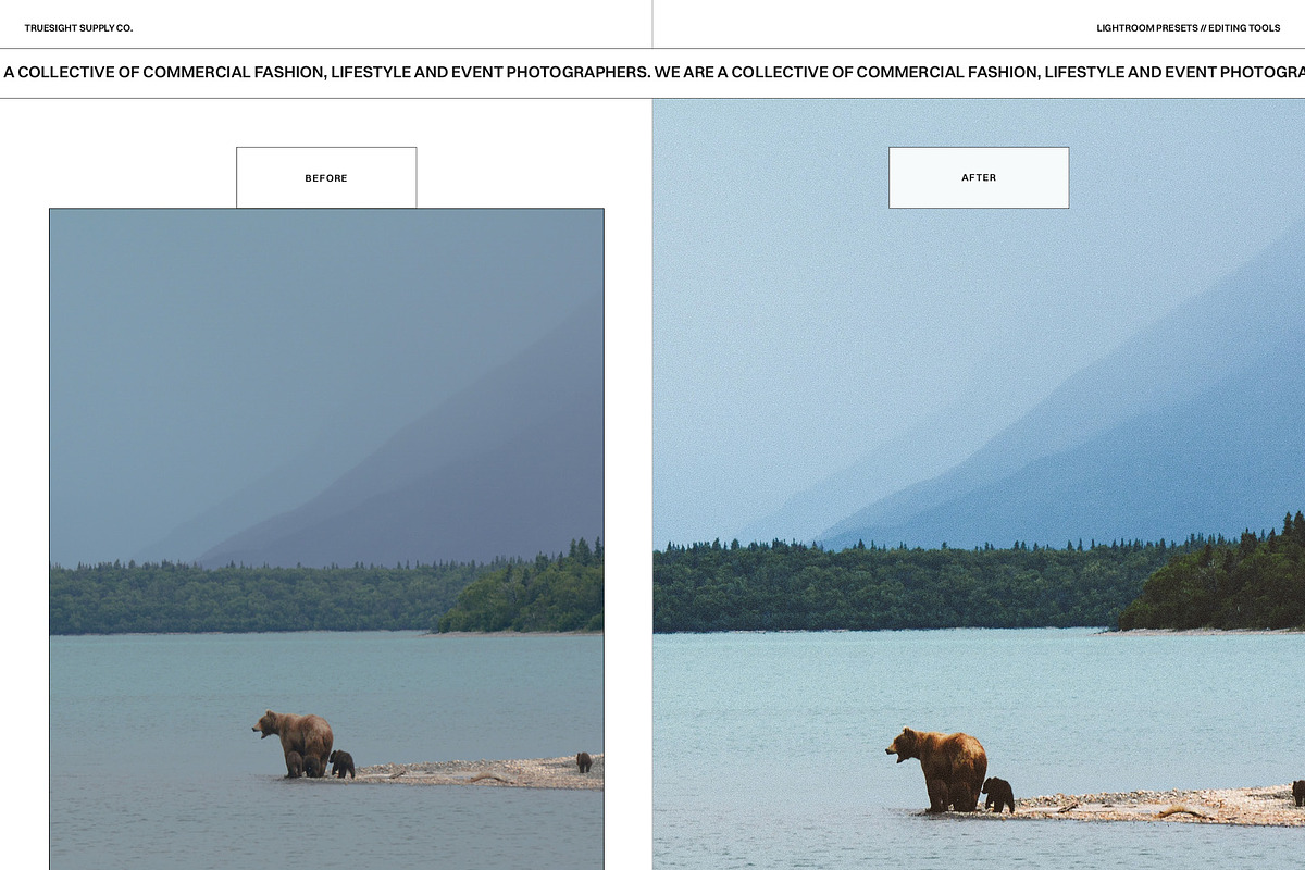North To Alaska - Lightroom Presets, a Preset Add-On by Truesight Supply Co. (Photo 5 of 10)