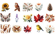 Florals and Woodland Clipart, an Illustration by Designking (Thumbnail 3 of 5)