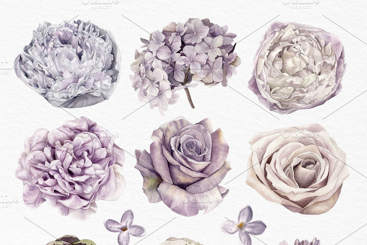Lilac Purple Watercolor Flowers, an Illustration by May • SHO (Photo 5 of 13)