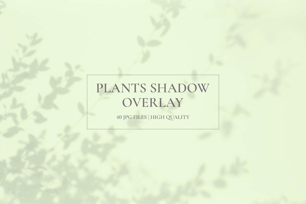 Plants Shadow Overlay, a Background Graphic by M9 Design (Photo 4 of 11)