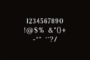 Salvager Luxury Serif Font, a Serif Font by UICreative (Thumbnail 7 of 12)
