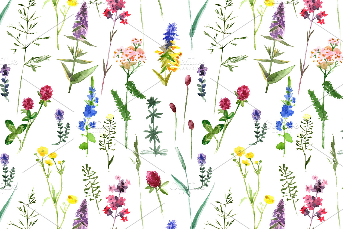 Watercolor herbs and flowers, a Decorative Illustration by handsketched (Photo 3 of 3)
