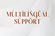 Glanity Modern Serif Font, a Serif Font by Letterena Studios (Thumbnail 12 of 15)