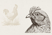 Farm Animals Illustrations, an Animal Illustration by Nocturnal Wolf (Thumbnail 5 of 14)