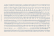 Theoris Slab Serif Font, a Slab Serif Font by Genetype (Thumbnail 8 of 8)