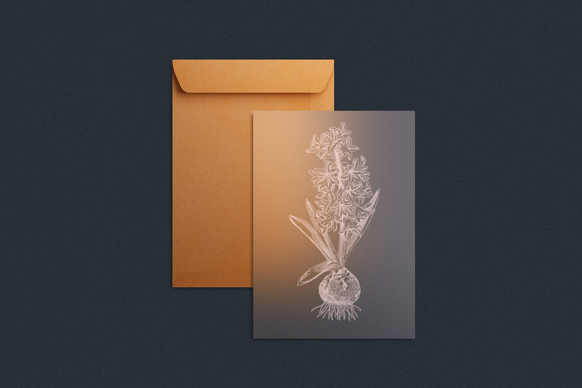 Spring Bulbous flowers, a Decorative Illustration by handsketched (Photo 8 of 10)