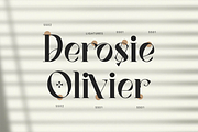 Vagues Elegant Serif, a Serif Font by Creatype Studio (Thumbnail 8 of 10)