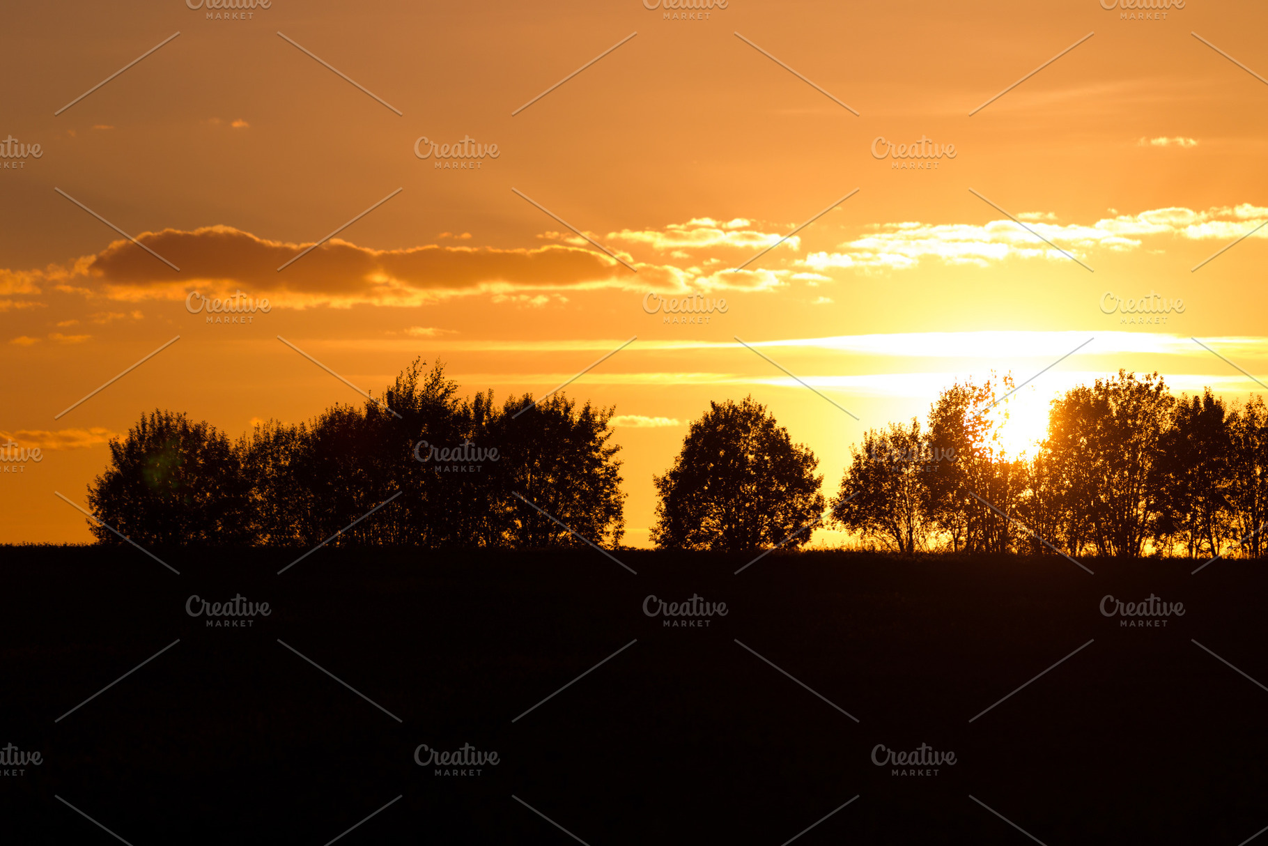 Evening landscape with silhouettes o stock photo containing sunset and, a Nature Photo by oleghz