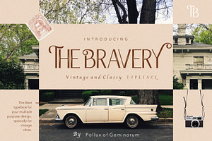 The Bravery