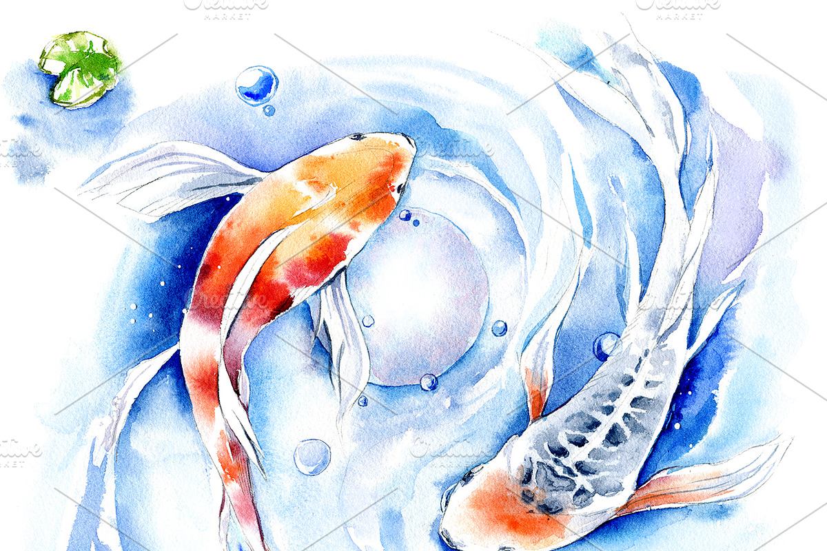 Watercolor Koi Fish, an Illustration by Botanical Art Shop (Photo 2 of 5)