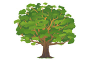 Set of oak tree in four seasons, an Illustration by Oceloti (Thumbnail 4 of 5)