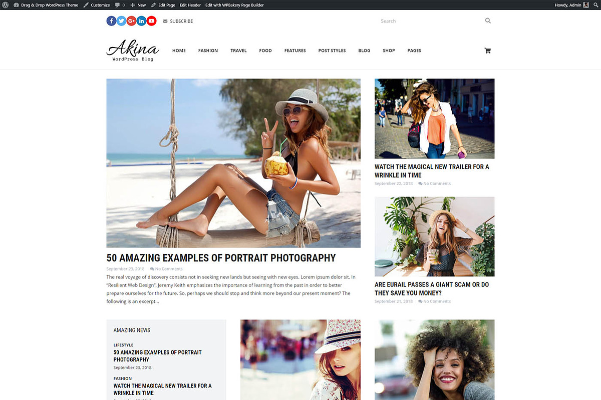 Akina – Blog, Business & Shop Themes, a WordPress Template by Cherry Wordpress Theme (Photo 5 of 9)