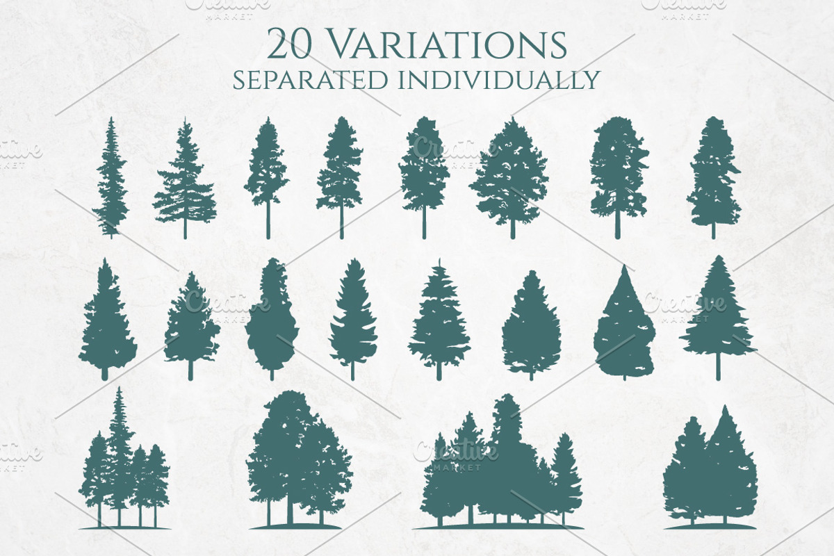 Coniferous Pine Fir Tree Set, an Illustration by jongcreative (Photo 2 of 2)