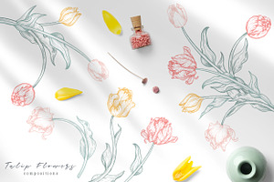 Tulip Flowers Vector Set