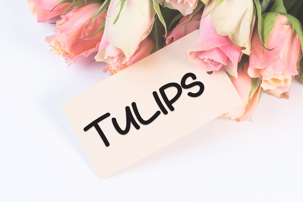 Thick | Script Font, a Script Font by Scratchones (Photo 3 of 9)