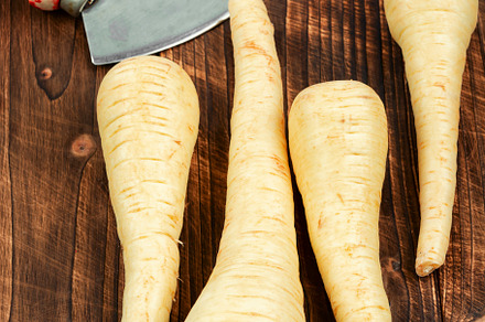 whole parsnips roots, a Food & Drink Photo by MLunov MLunov