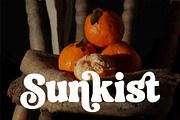 Silky Milky-Bold Retro Serif, a Serif Font by Violet Natural (Thumbnail 4 of 12)