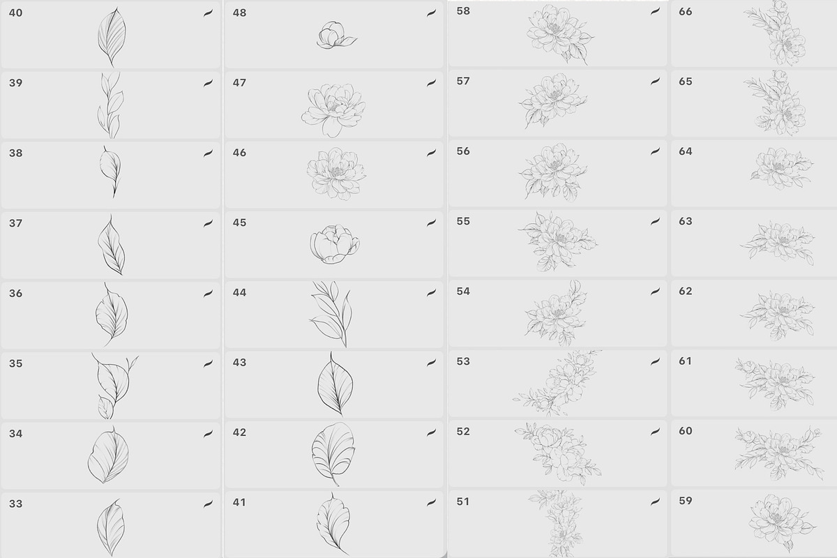 Procreate flower stamp, peony brush, a Brush Add-On by AnnaPolitmerskaja (Photo 4 of 5)